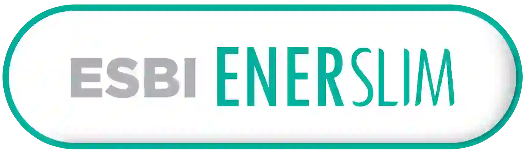 Logo Enerslim