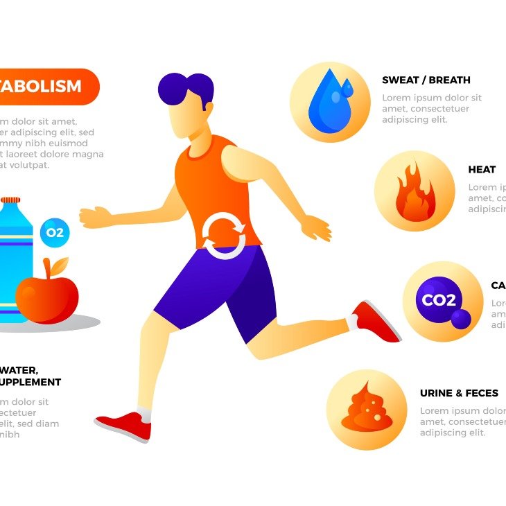 Gambar: Kenali Penyebab, Gejala, dan Pengobatan Gangguan Metabolisme